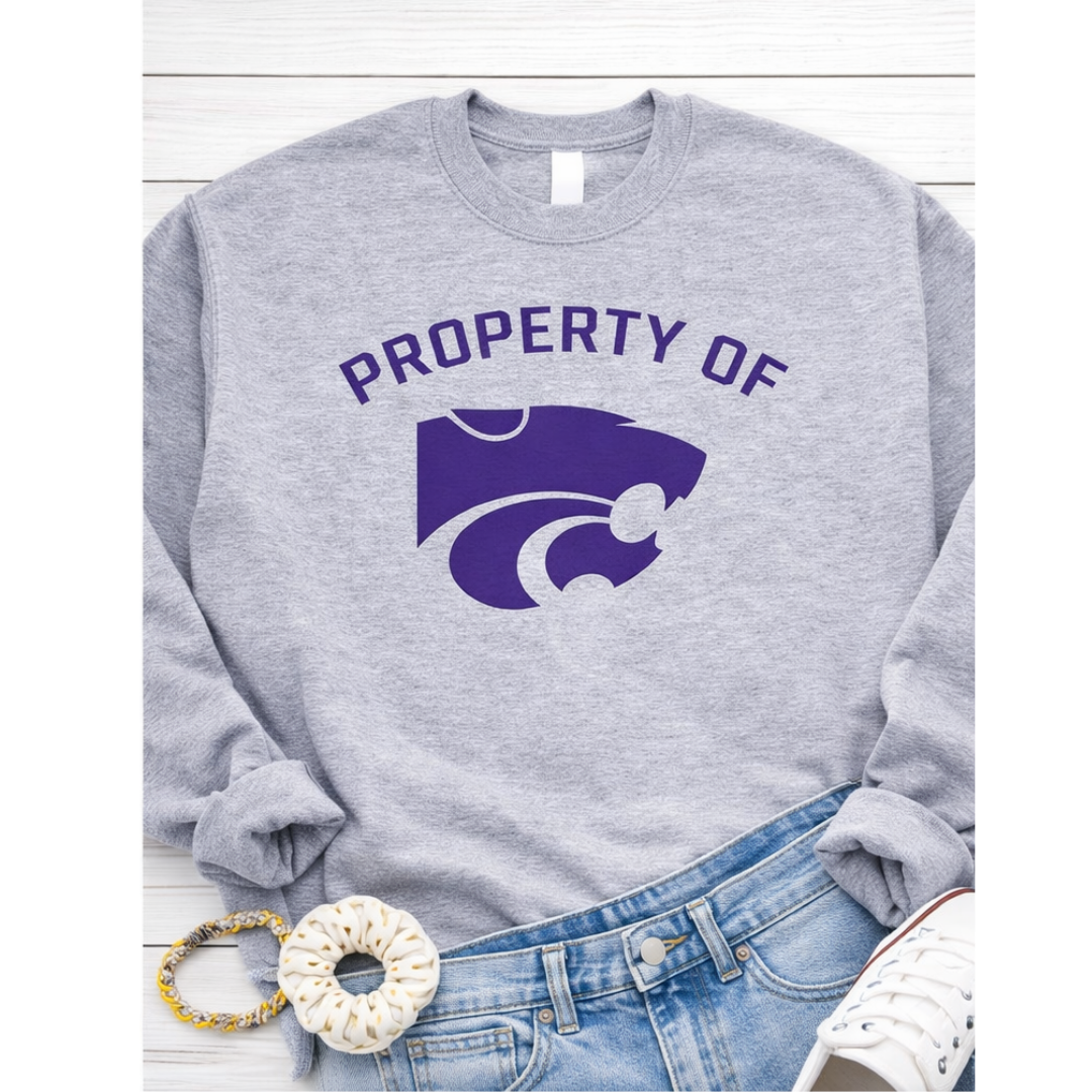 Gray sweatshirt with purple logo and text 'PROPERTY OF' on a white background